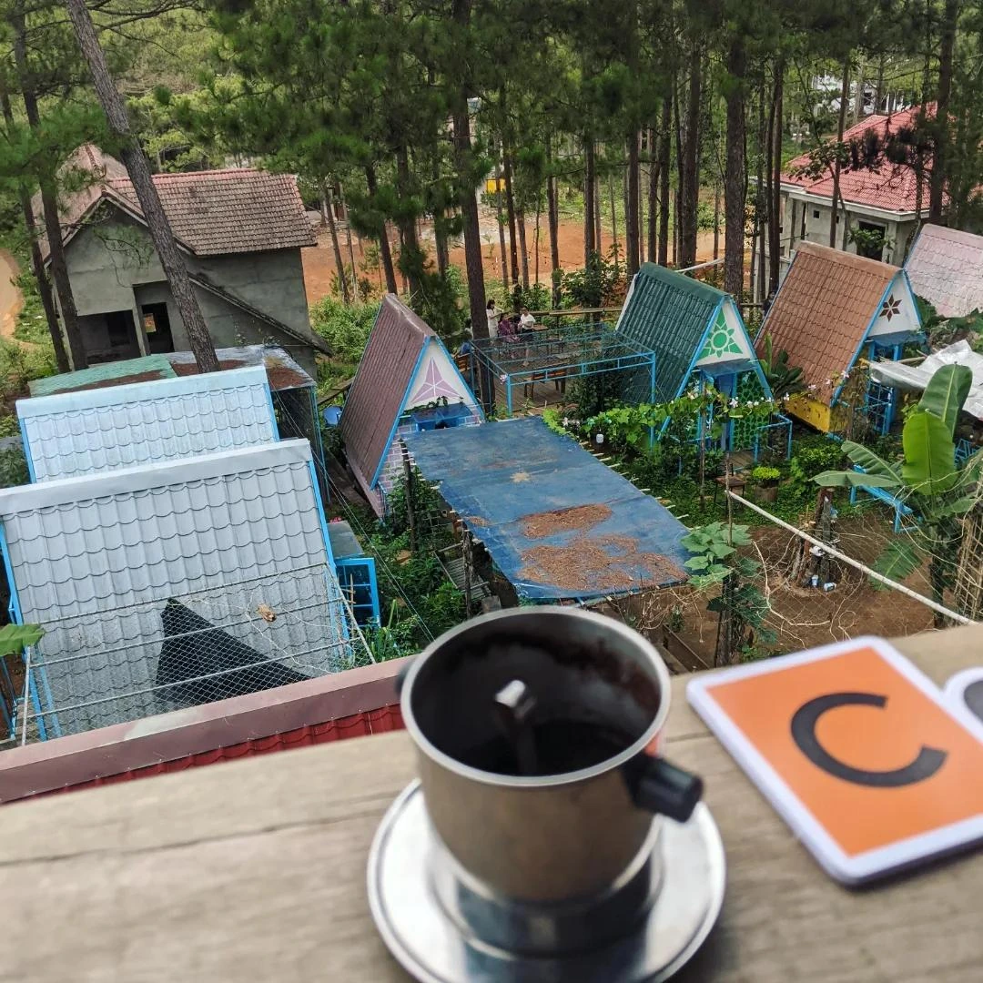 Cà phê sáng giữa rừng thông