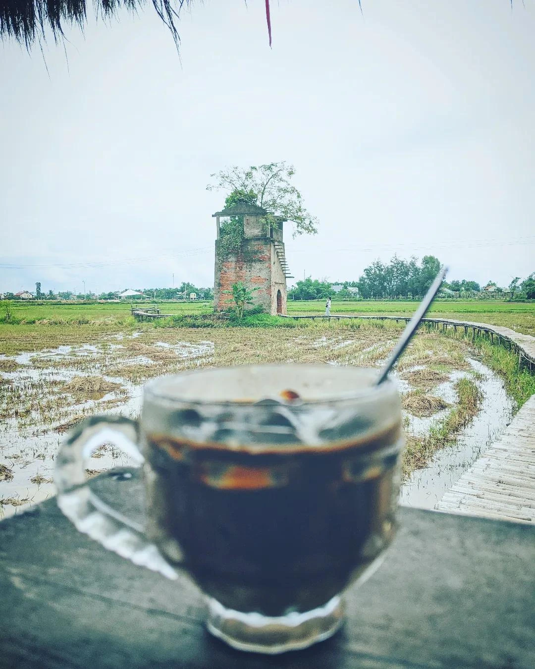 Cà phê bên tháp Chăm & đồng lúa